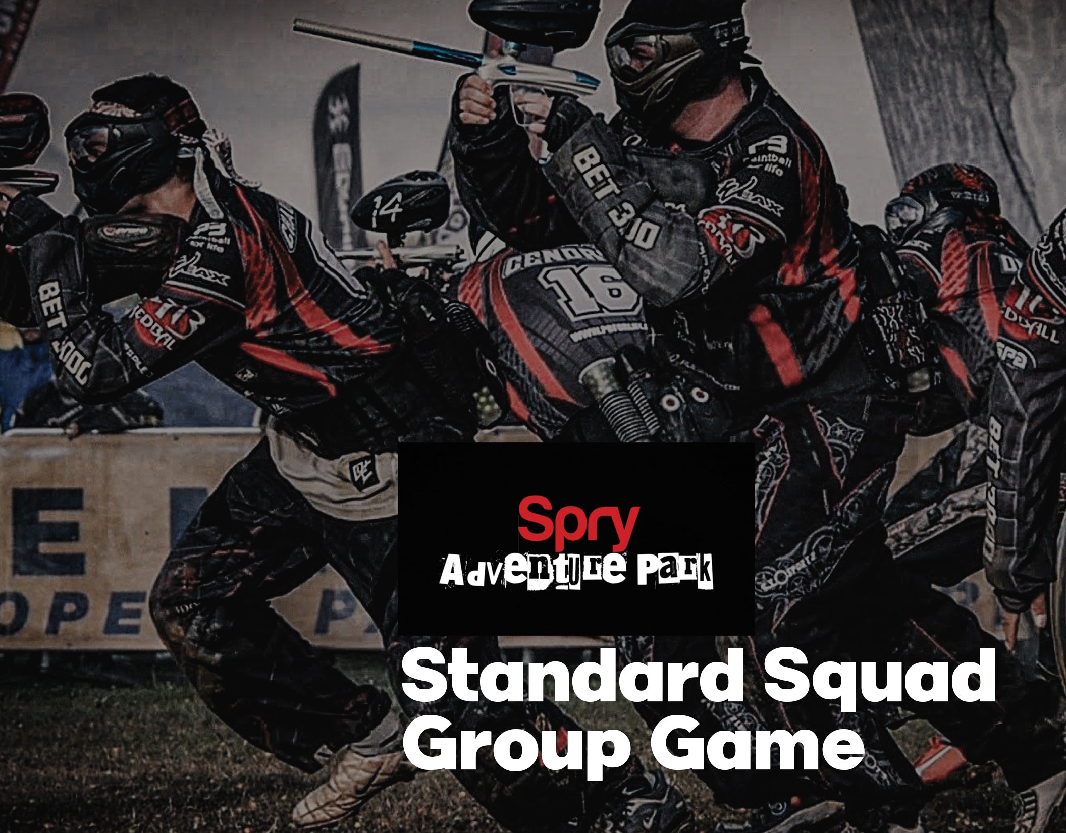 Spry Adventure Park Standard Squad group game